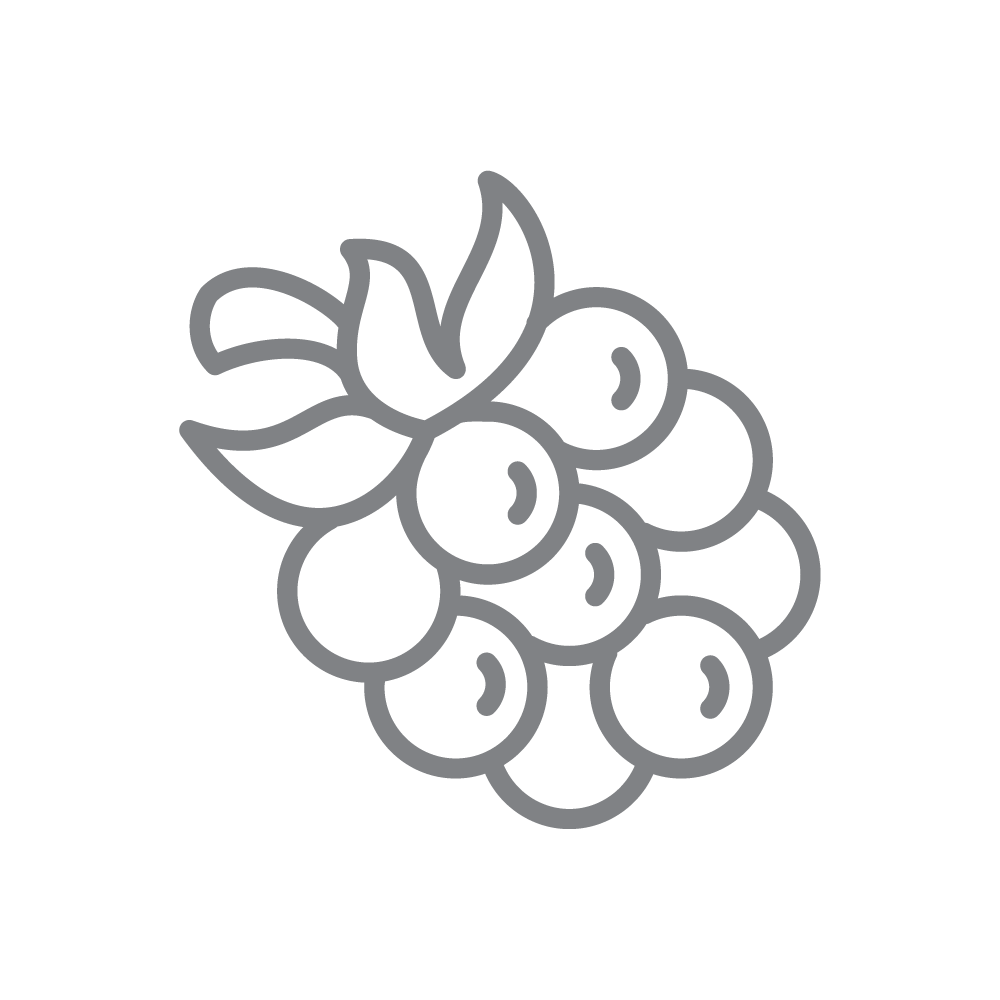 სუბლიმირებული ხილი/კენკრა