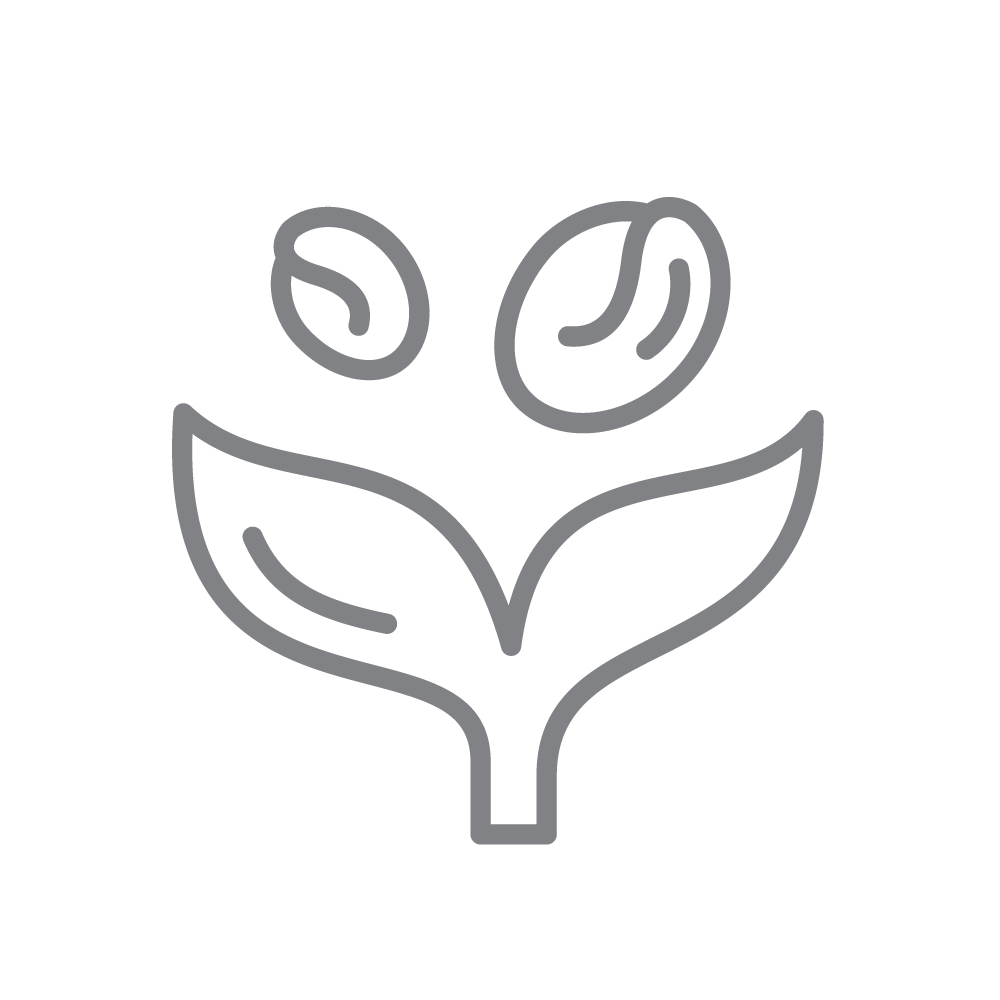 ყველაფერი ყავის სახლისთვის